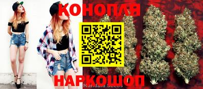 прущие крисы Заводоуковск